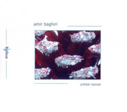 AMIR BAGHIRI - Orbital Repose