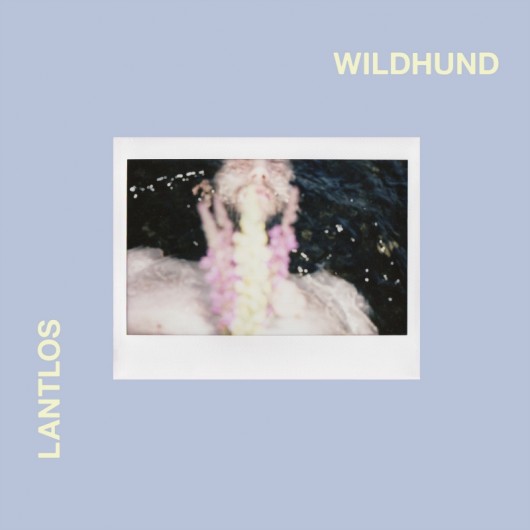 LANTLOS - Wildhund